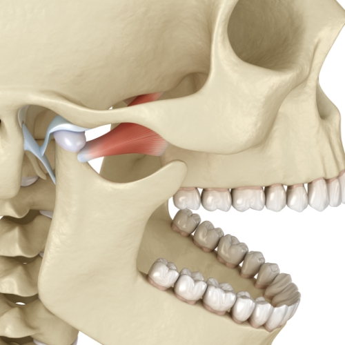 physical-therapy-clinic-tmj-dysfunction-texas-rehab-and-performance-center-irving-frisco-tx